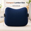 Lumbar Support Cushion for Office Chair & Car Seat –