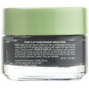 L'Oreal Skin Expert Detox & Brighten Pure Clay Mask, 1.7