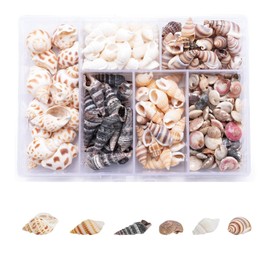 Tiny Sea Shell Ocean Beach, 100 Pieces Shells Mixed Shells for Crafts Ocean Shells Decorative Shells for Vase Fillers Party Wedding Decor DIY Crafts Fish Tank