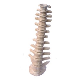 Spine Candle Holder