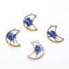 4PCS Gold Tone Real Dry Pressed Flower Resin Crescent Moon