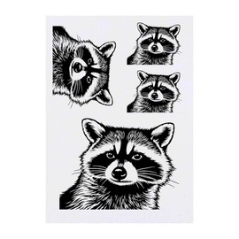 Azeeda 4 x 'Waschbär, Vorderansicht' Temporäre Tattoos - Wasserfest, Hautfreundlich & Ungiftig · Transfers in Verschiedenen Größen (TO00080490)