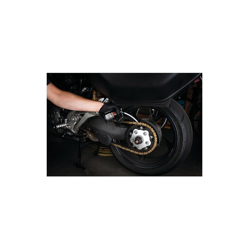 Performance Tool W54265 Pistol Oiler with Flex Hose - 6