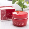 Charbee All-in-One Gel Cream Tortoto no Takamono Horuru [3.5 oz