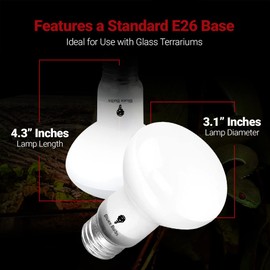 4 Pack 75-Watt Basking Light for Reptiles & Amphibians - Heat Lamp Bulbs for Glass Terrariums, Suitable for Bearded Dragons, Lizards, Iguanas - Broad Spectrum Reptile Basking Bulb