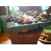 Volcanic stone cooking tiles, flat surface without grooves, 8" x