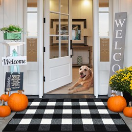 FONEYI Buffalo Plaid Outdoor Rug, 27.5"x43" Checkered Front Door Mat, Non Slip Absorbent Entryway Rug Doormat Indoor, Washable Outdoor Rugs for Layered Door Mats Front Porch/Farmhouse Black and White