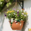 Znnhnn Hanging Frogs, Flower Pot, Hanging Frogs, Decorative Figures (Green-3)