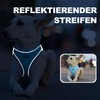 haapaw Dog Harness and Lead Set, No-Pull Adjustable Reflective Step-in