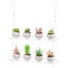 2-Tier Acrylic Hanging Plant Shelves - Height Adjustable Clear Acrylic