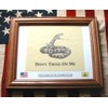 Framed American Revolutionary War Rattlesnake Flag...Gadsden Flag. Patriotic Wall Decor