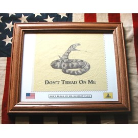 Framed American Revolutionary War Rattlesnake Flag...Gadsden Flag. Patriotic Wall Decor Art.