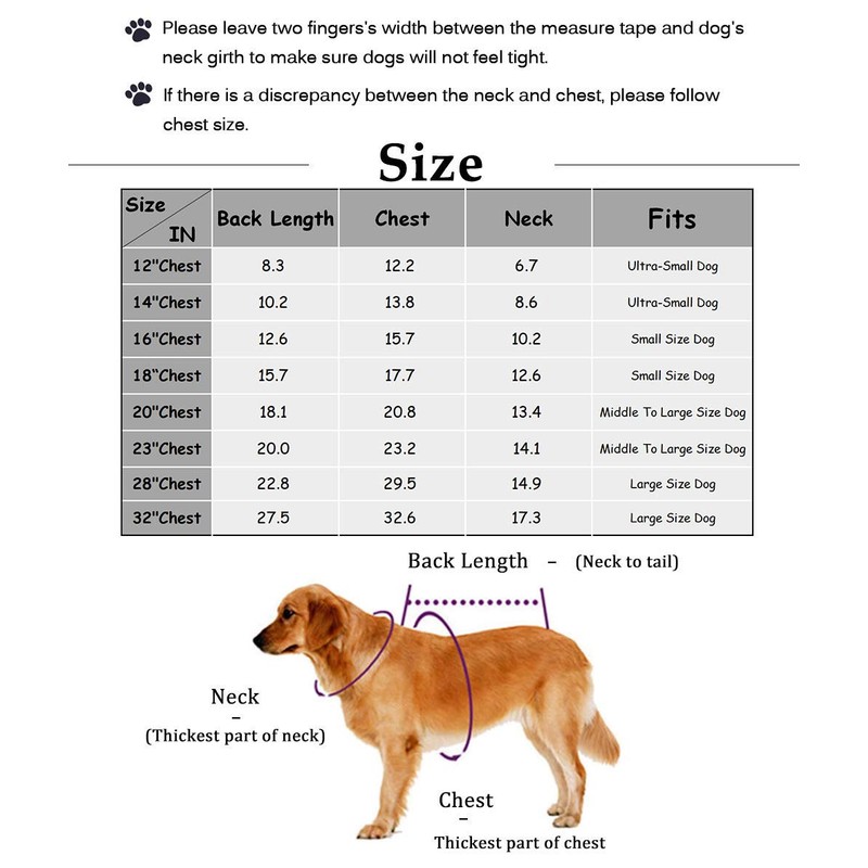 Chol&Vivi Dog Shirts Blank Clothes, 2pcs Dog T-Shirts Apparel Fit