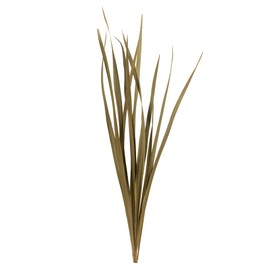 Vickerman 18-30" Natural Snake Grass. Includes 36 Stems (3-12 Stem Bundles), Dried