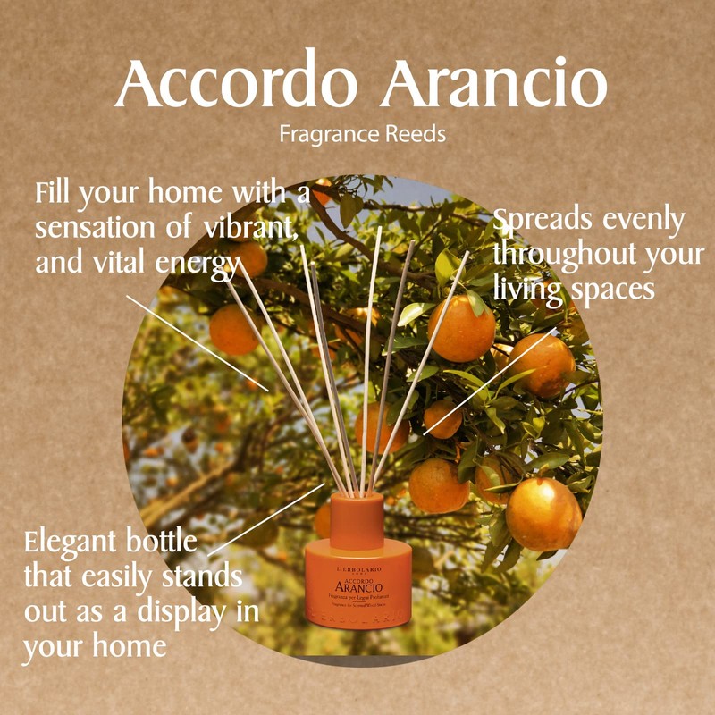 L'Erbolario Accordo Duft für Dufthölzer, 125 ml