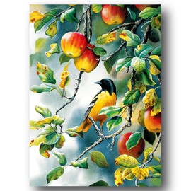 Cobble Hill Northern Oriole Bird Apple Fruit Art Jigsaw Puzzle 1000 Pieces