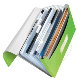 Leitz 45890054 A4 Box File, Holds Up to 250 A4 Sheets, Elastic Closure, Flexible Plastic, WOW Range, Green