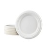 Love Nature Ecological Disposable Plate Set Round 17.5 cm Pack