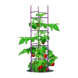 NO Splicing - 5ft Tall Tomato Cage 6-Pack Large Tomato Stakes Garden Plant Stakes Climbing Suports, 40 Clips and Plant Ties Include, Purple