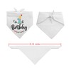 family Kitchen Funny Cute 1 Year Dog Birthday Bandana Scarfs