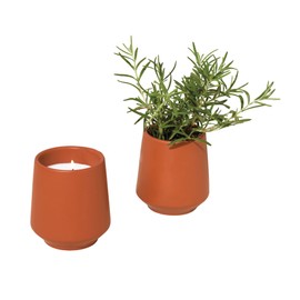 Modern Sprout Rooted Candle Grow Set, Indoor Herb Garden, Seed Starter Set, Organic, Non-GMO, Rosemary & Cucumber