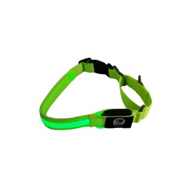 Light-Up Martingale Training Adjustable Dog Collar – Waterproof, LED Illuminated, USB Rechargeable, Reflective Safety, Durable Nylon (Green, Large)