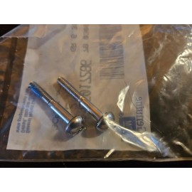 General Motors  NOS GM 26017286 Transmission Axle Cap Mounting Screws (2)