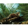 Living Nature Large Otter Plush Toy| Soft Toy Gift for
