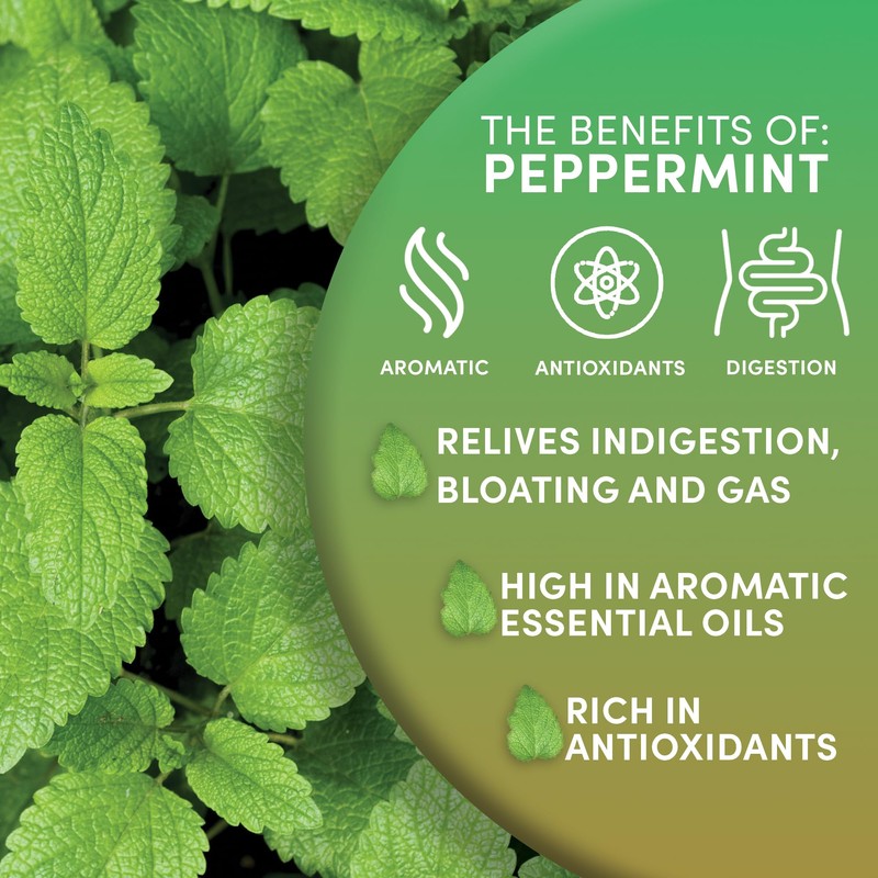 Worldwide Botanicals Organic Peppermint Loose Leaf Tea, 4 oz -