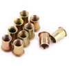 AIWFL 100Pcs M6 Metric Zinc Plated Carbon Steel Rivet Nut,