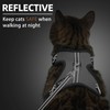 PUPTECK Cat Harness and Leash Set Escape Proof, Reflective Adjustable