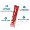 Venture Pal Sugar Free Electrolyte Powder Packets - Liquid Daily