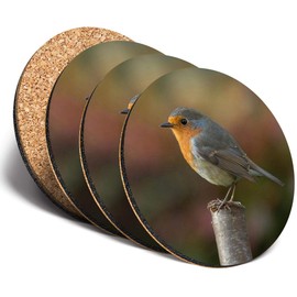Destination Vinyl ltd Great Coasters (Set of 4) Round - Red Robin Wildlife England Drink Glossy Coasters/Tabletop Protection for Any Table Type #13116