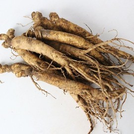 [산지직송] 금산 황금농장 삼계탕/갈비탕용 인삼(중) 750g [Direct Shipment] Geumsan Golden Farm Ginseng (Medium) 750g for Samgyetang/Rib Soup