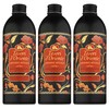 Tesori d'Oriente Japanese Rituals Shower Gel 500 ml x1