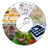 VERIMP 5X Handheld Magnifier Illuminated Desktop Handheld Magnifying Glass Reading