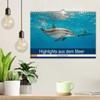 Highlights from the Sea Diving Calendar (Wall Calendar 2026 DIN