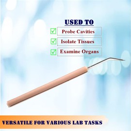 Lab Dissecting Teasing Needles with Plastic Handles for Dissection Multipurpose Probes Lab Supplies comes in Straight & Bent Angles (Dissecting Probe - Bent - 12 Pcs)
