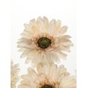 Briful Artificial Gerbera Daisy Bouquet – 6pcs Fall Flowers Stems,
