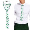 Eyret Shamrock Necktie Set St Patricks Day Neck Ties and