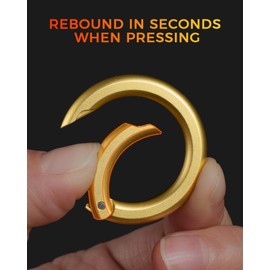 FEGVE Round Durable Carabiner Keychain Clip, Small Spring Snap Hook Key Chain Clip for Keys DIY Crafts