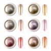 6 Colors Rose Gold & Gold Series Mirrored Powder Metallic