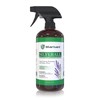 SilverGuard SilverAll Enhanced Hydrogen Peroxide Cleaner + Active Silver |