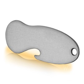 Einkaufswagenlöser Blanko F2 / Shopping Cart Remover - Includes 1 Year Key Finding Service/Shopping Trolley Token Removable/Shopping Trolley Token / Pull Out Token/Metal Keyring / Pack of 2, silver