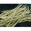 15 Organic Asian Long Bean Seeds (Early,White,S