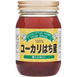 (Bee Blessings Series) Sun Flora "Eucalyptus Honey 17.6 oz (500 g)