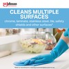 SC Johnson Professional Windex Glass and More Multi-Surface Cleaner, Windex