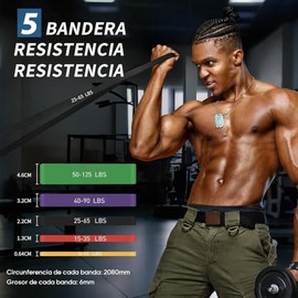 Bandas De Resistencia Para Ejercicio 17Pzs, Ligas De Resistencia Para Ejercic, Incluye Bandas Resistencia y Cadera, Anclaje Para Puerta, Asas, Ganchos