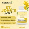 St John’s Wort Capsules 900mg Per Serving (10:1 Extract Equivalent.