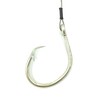 5' Shark Leader with Non Stainless Inline Circle Hook (20/0)
